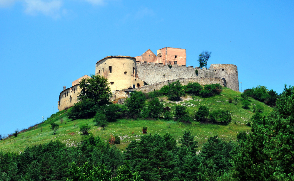 Mi mindenre jók a gombaszögi fenyőfák?
