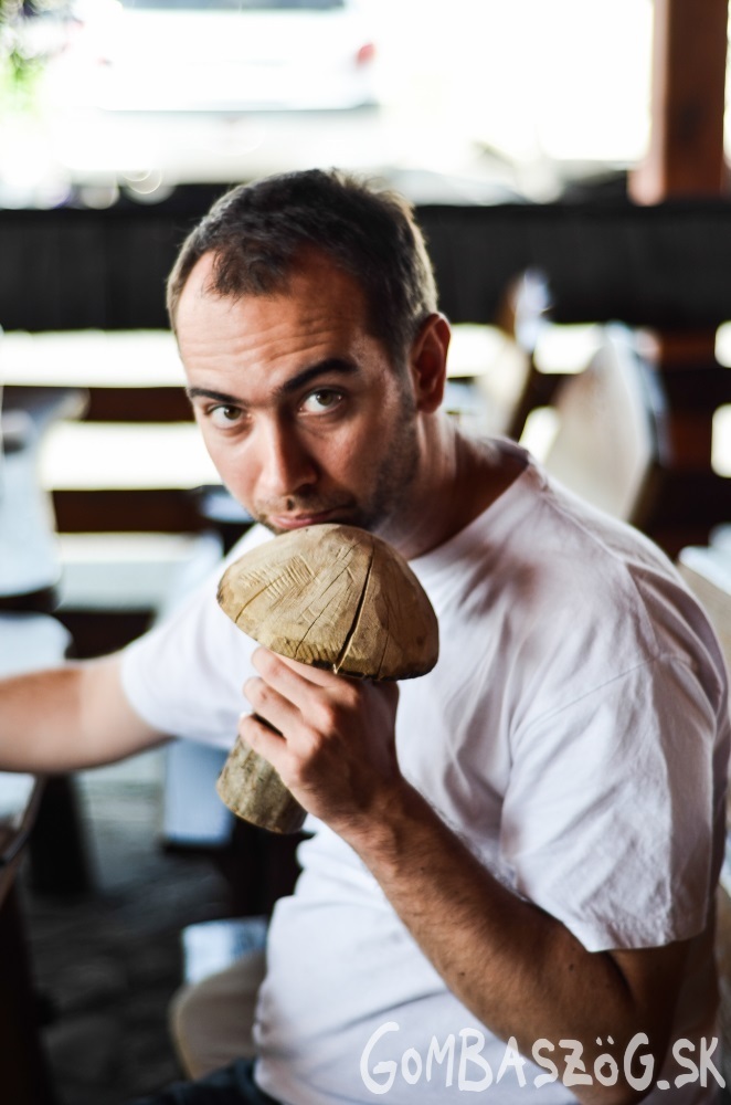 Stubendek Attila és a gombája