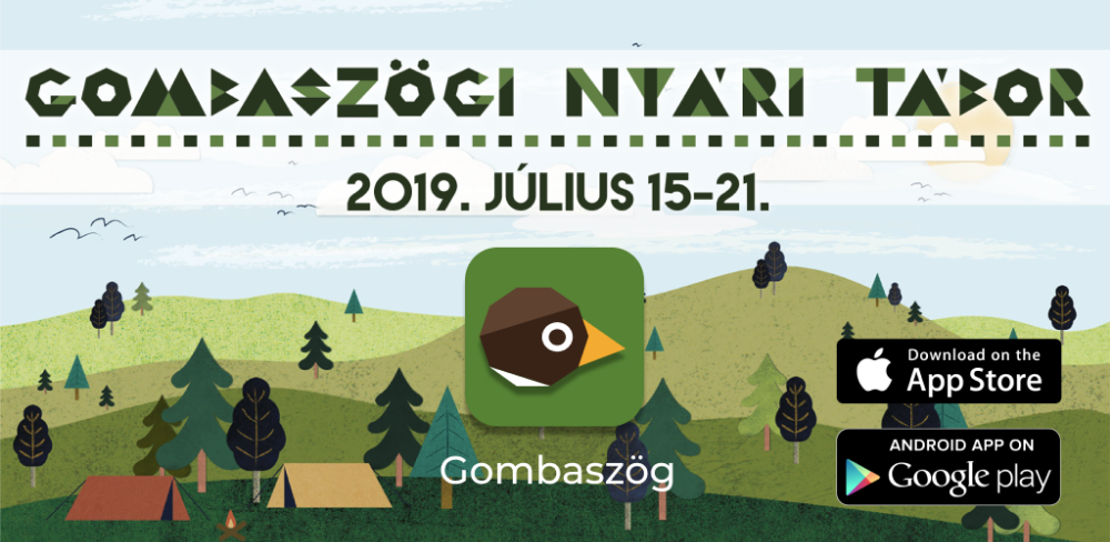 add meg a kép czímét