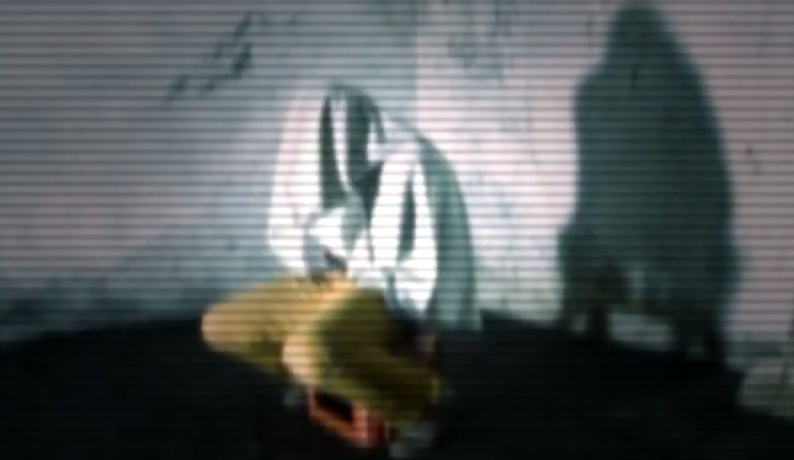 Főszervezőnket a tábor koncertjeiről