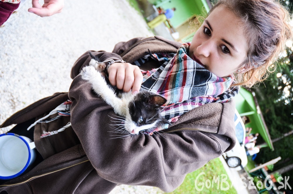 kicsiLilla és a cicus