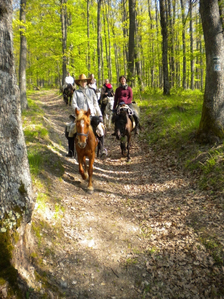 Lóvilágvan Gombaszögön!